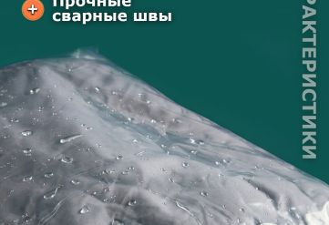 ПВД прозрачный Курьерский пакет без кармана 12х25/4см 50мкм (500шт)