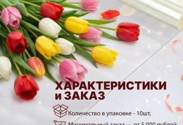 Пленка чистая 800мм/28м/800гр 40мкм (10шт)